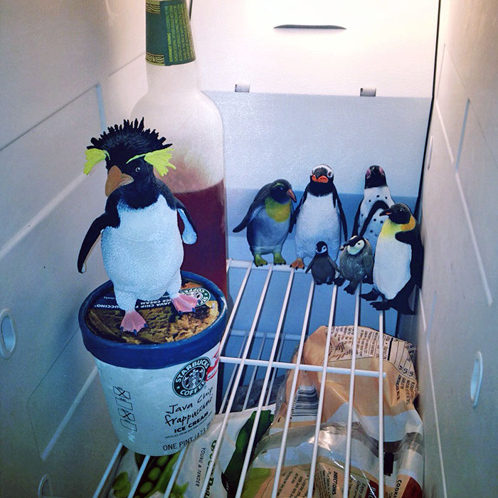 I Think This Is My Boyfriend's Idea Of Being Funny