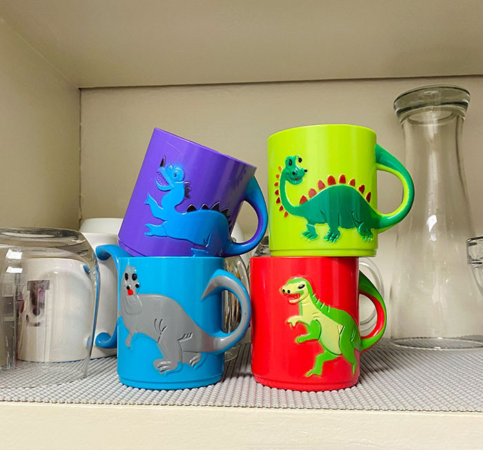 I Asked My Husband To Buy Plastic Cups So That We Don't Always Have To Drink From Glass Cups And Potentially Break Them. This Is What He Bought, And No, We Don't Have Kids