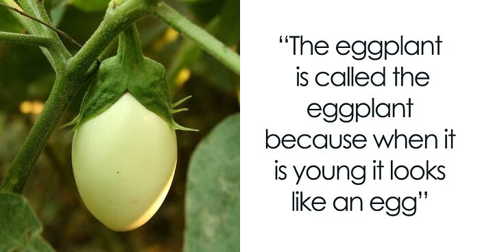 30 Fun And Interesting Facts To Share With Your Work Bestie