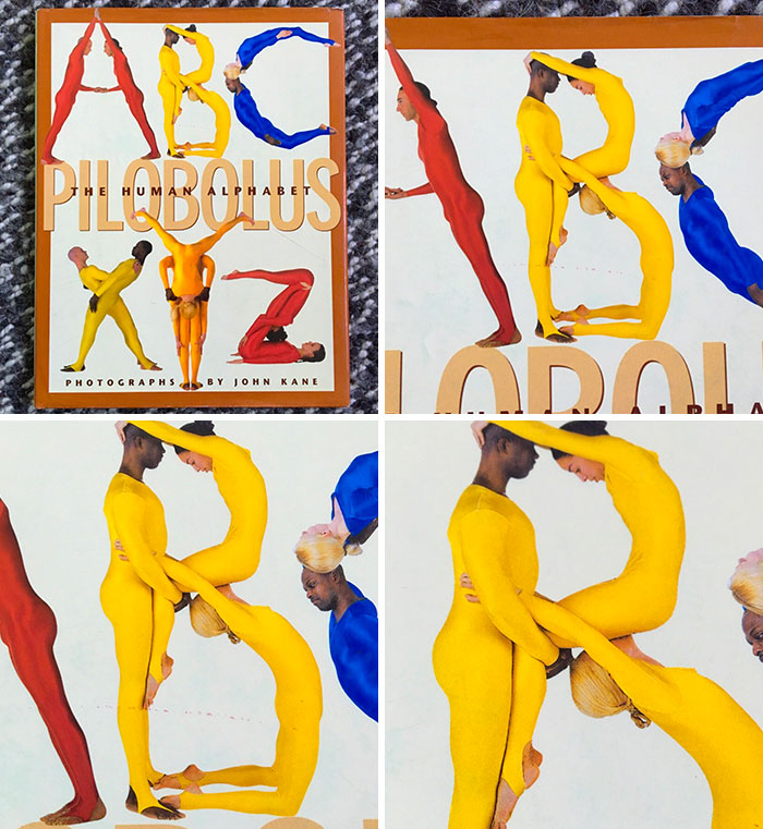 My Son Is Learning The Alphabet