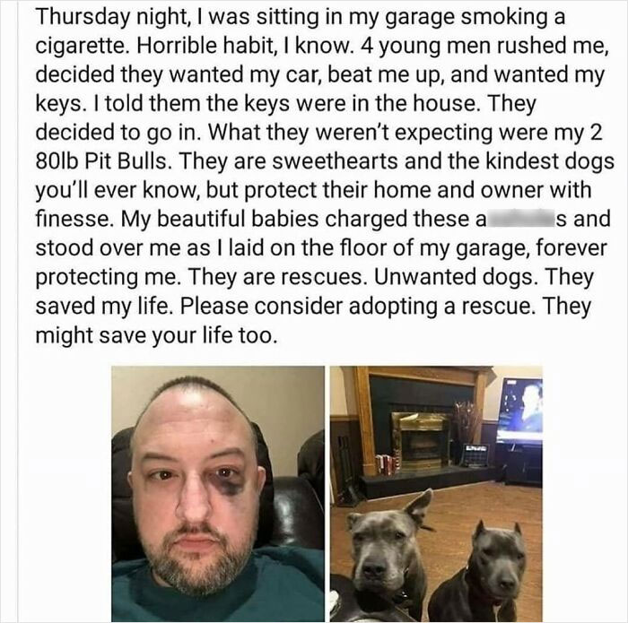 Funny-Memes-Falling-In-Society