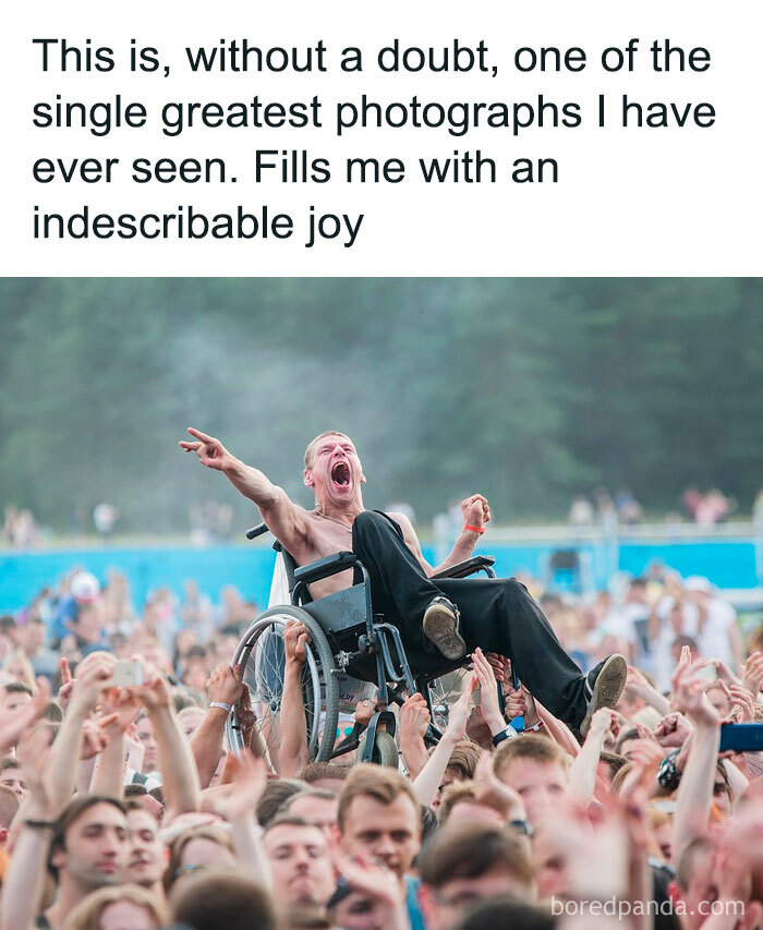 Funny-Memes-Falling-In-Society