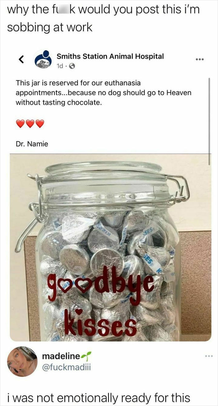 Funny-Memes-Falling-In-Society