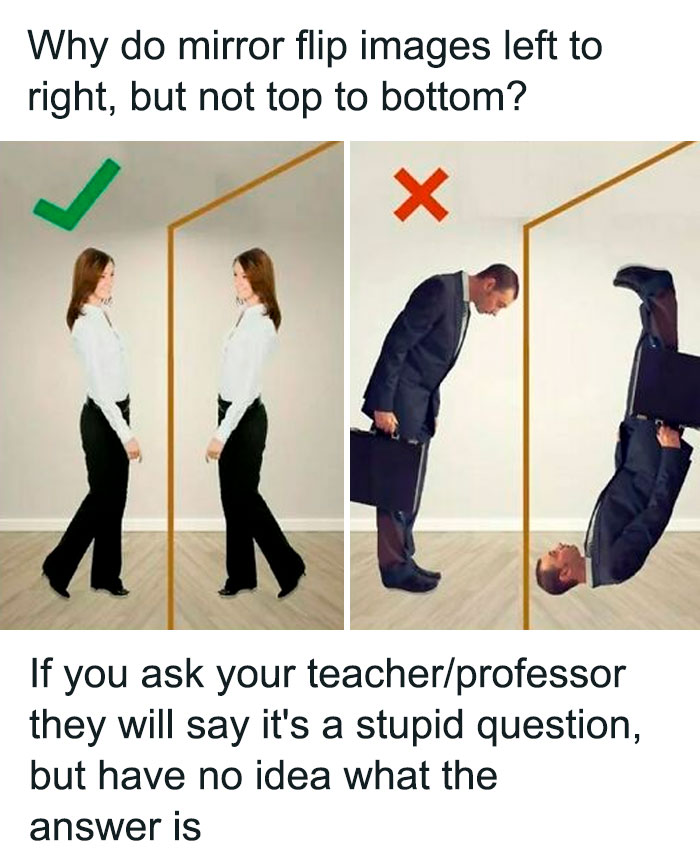 Educational meme comparing mirror reflections with humorous commentary.