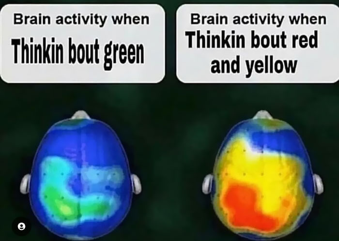 Funny-Memes-Memeseducational