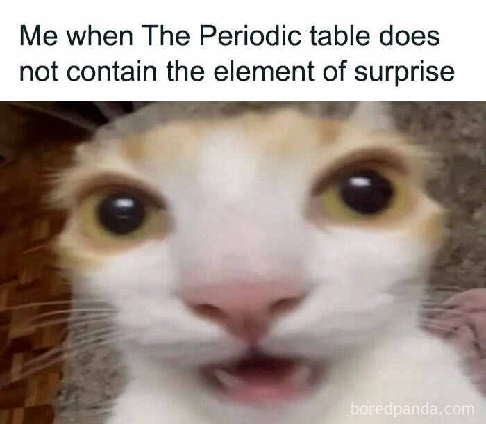 Close-up of a surprised cat with the caption about the periodic table, showcasing educational memes.