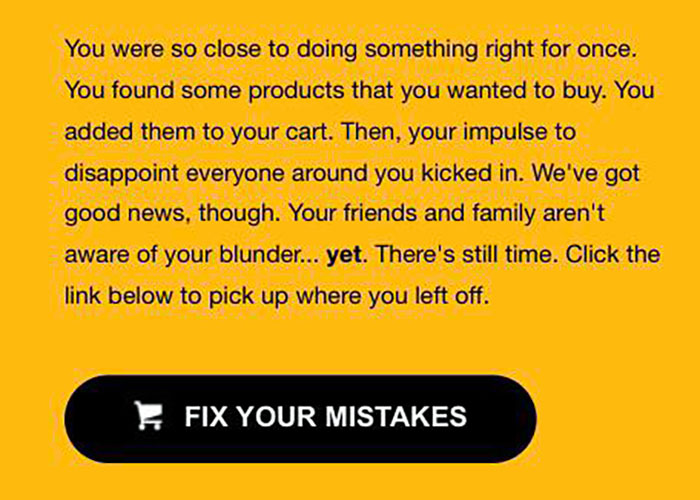 This Passive-Aggressive Email I Got When I Left Things In My Online Cart