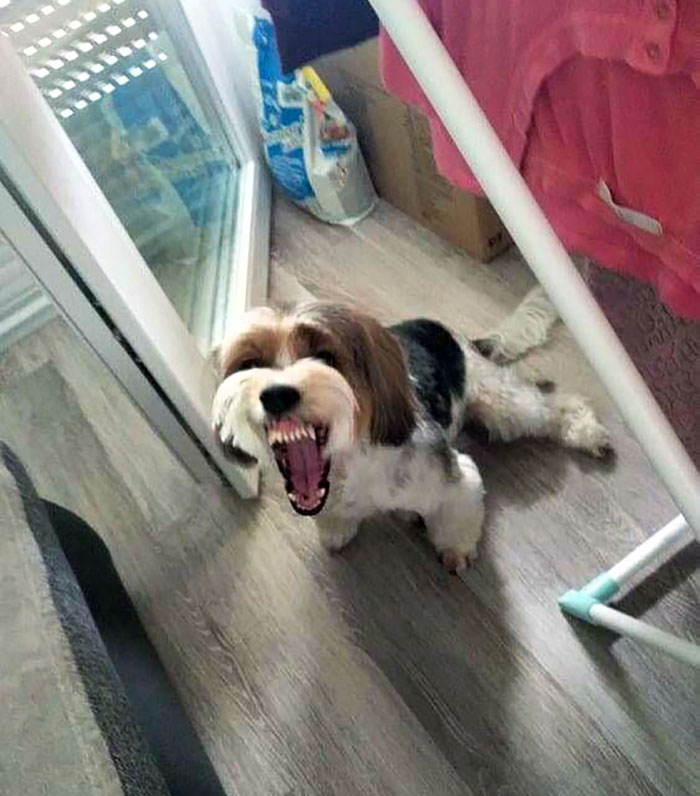 I Caught Him Mid-Yawning. Very Scary