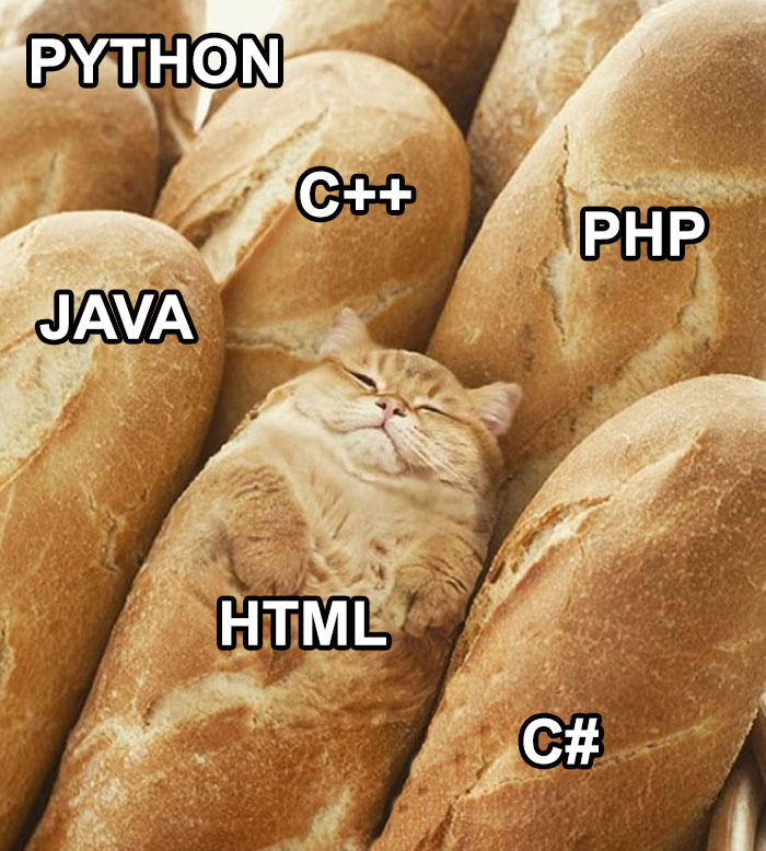 Funny-Programming-Jokes-Memes