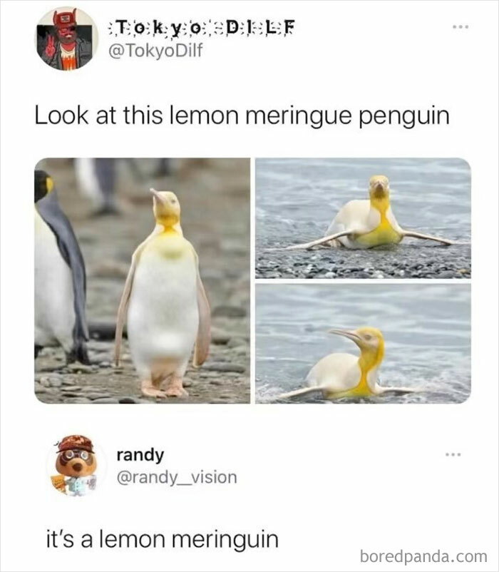 A funny meme from Punsworld shows a yellow penguin resembling lemon meringue.