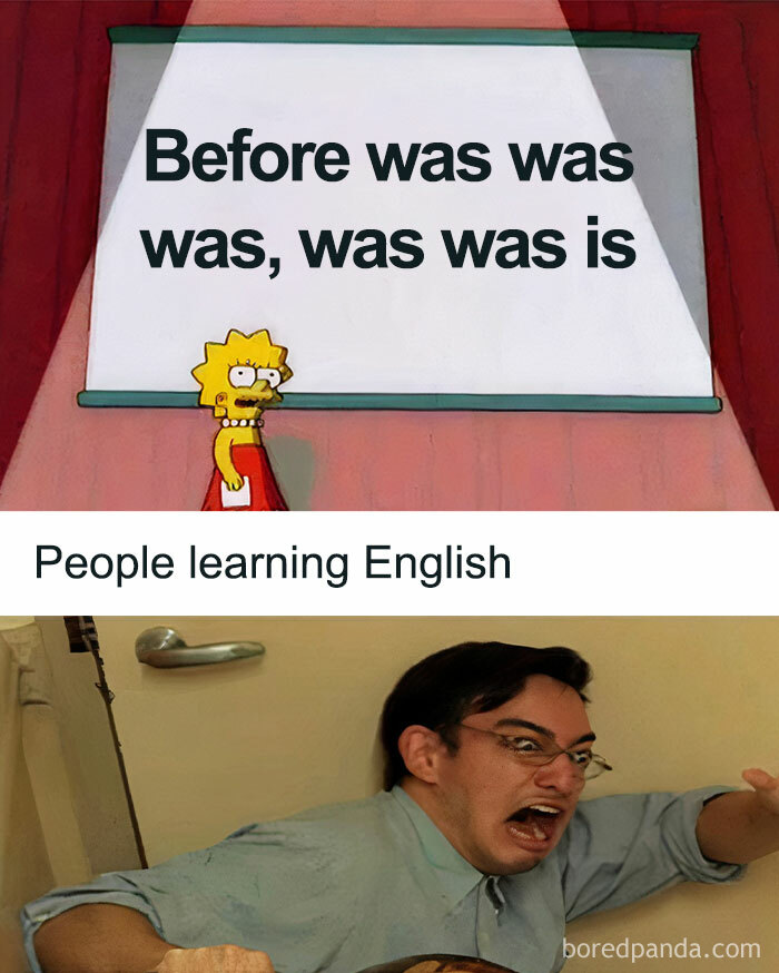 Funny meme about life: cartoon character gives grammar lesson, man reacts dramatically.