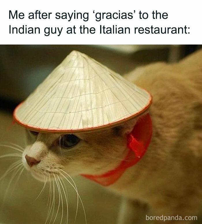 Cat wearing a hat in a funny meme about life, humorously capturing awkward moments with mixed languages at a restaurant.