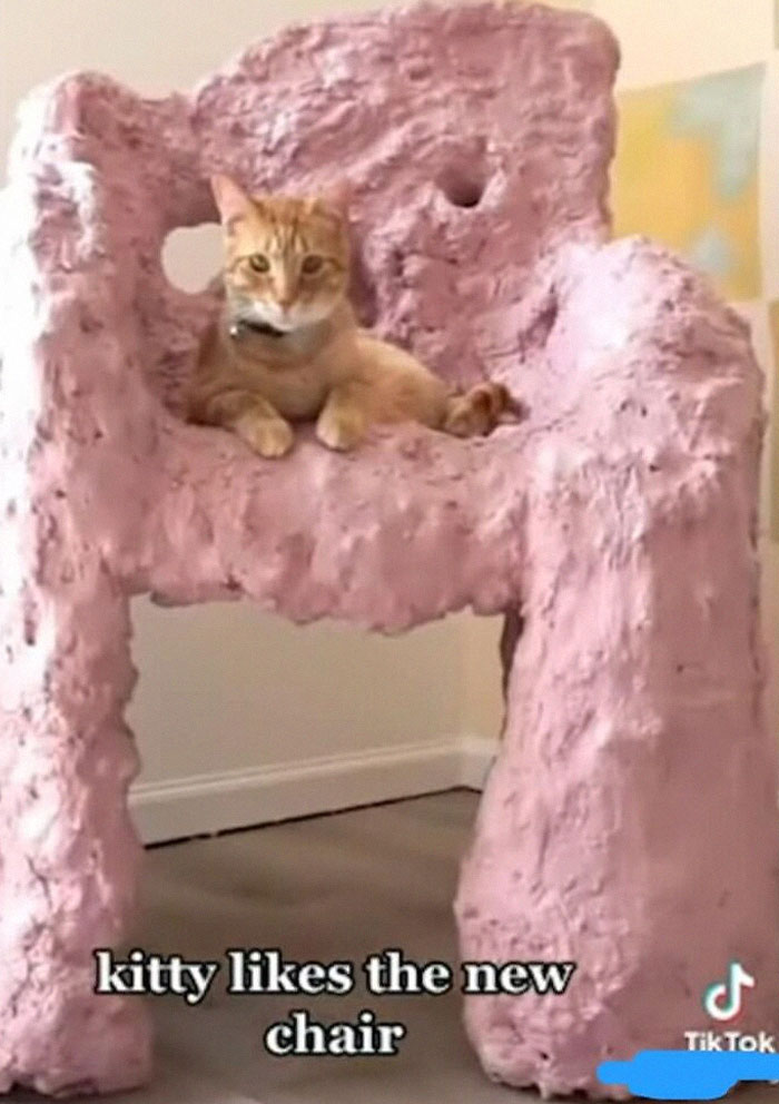 Shaming This DIY Chair This Person Made