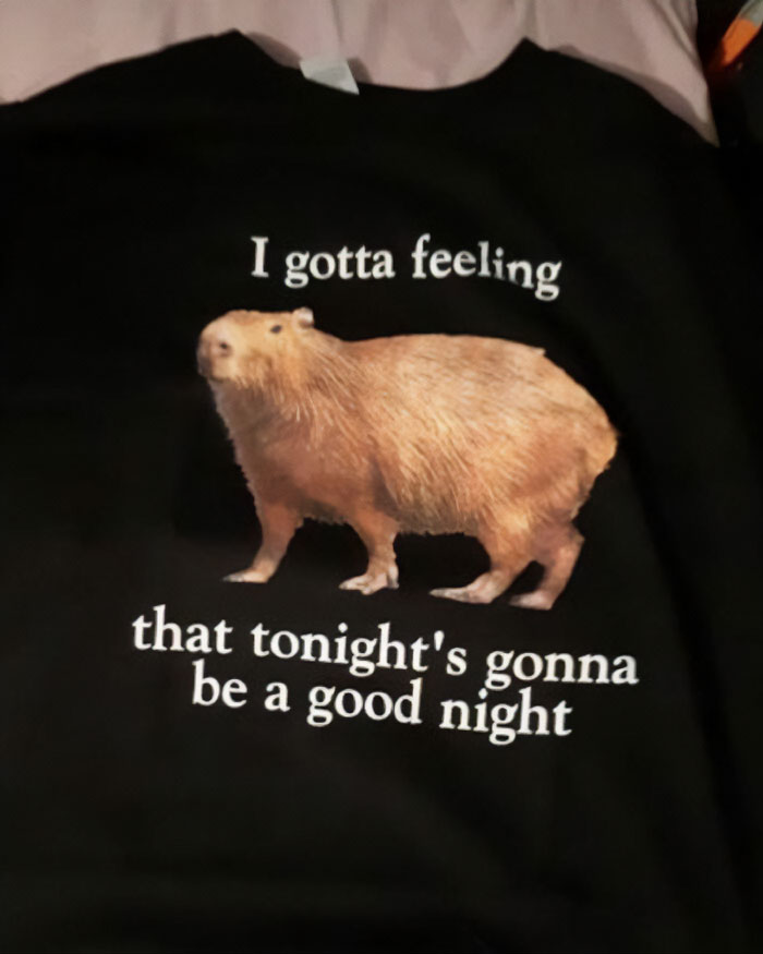 Oh Well, Whatever, Never Mind