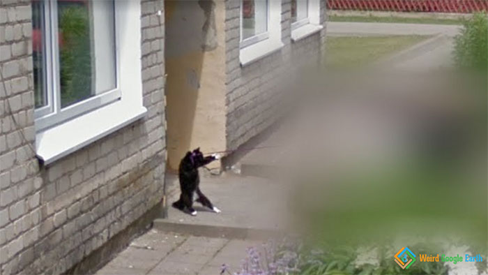 "Kitty Doesn’t Want To Go". Location: Joniskis, Lithuania