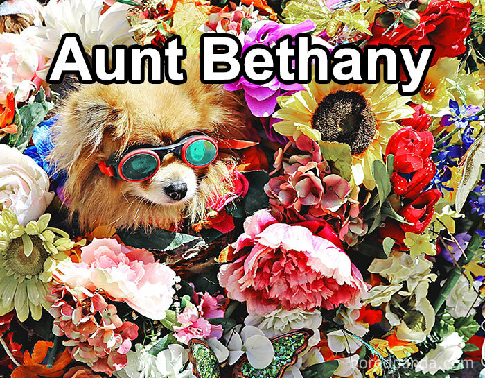 Funny-Weird-Pet-Names