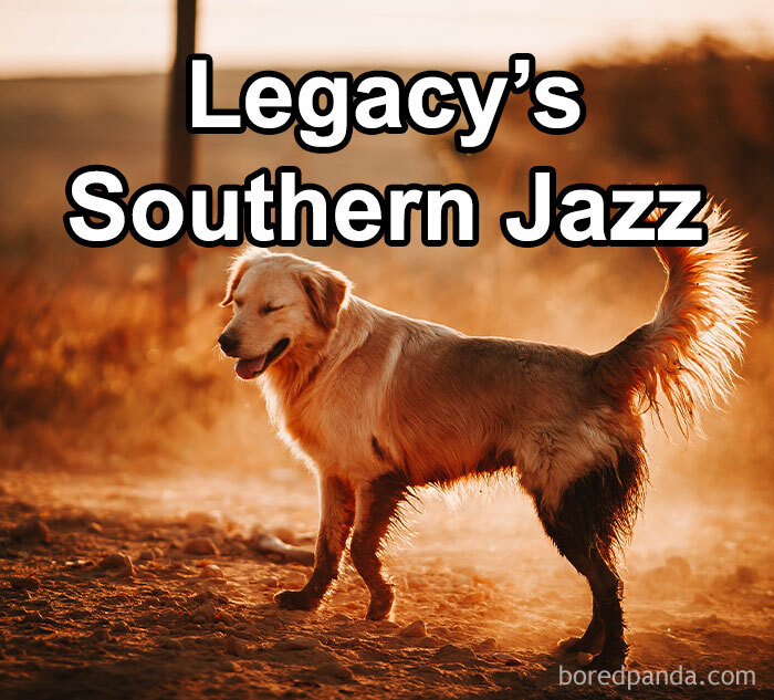 Funny-Weird-Pet-Names