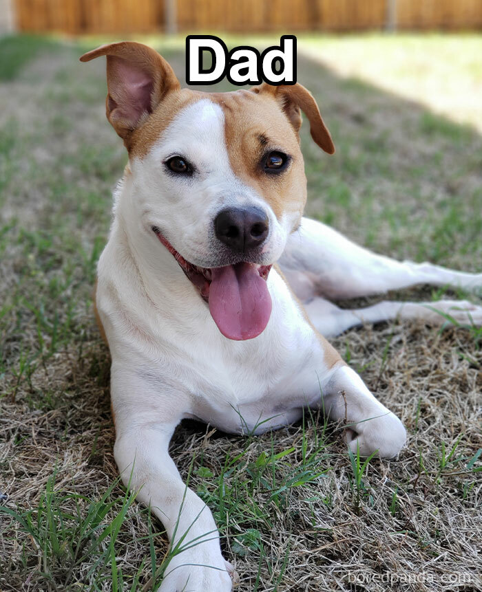 Funny-Weird-Pet-Names