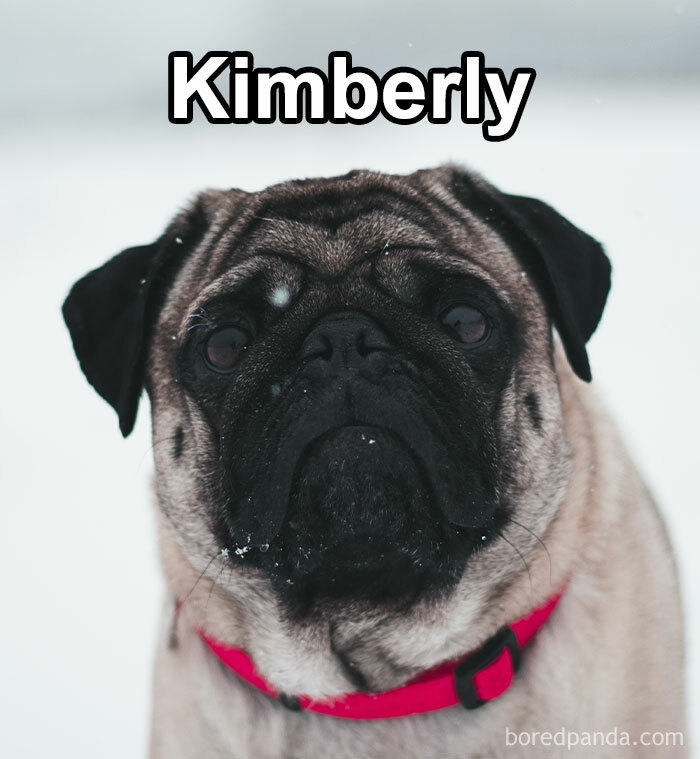 Funny-Weird-Pet-Names