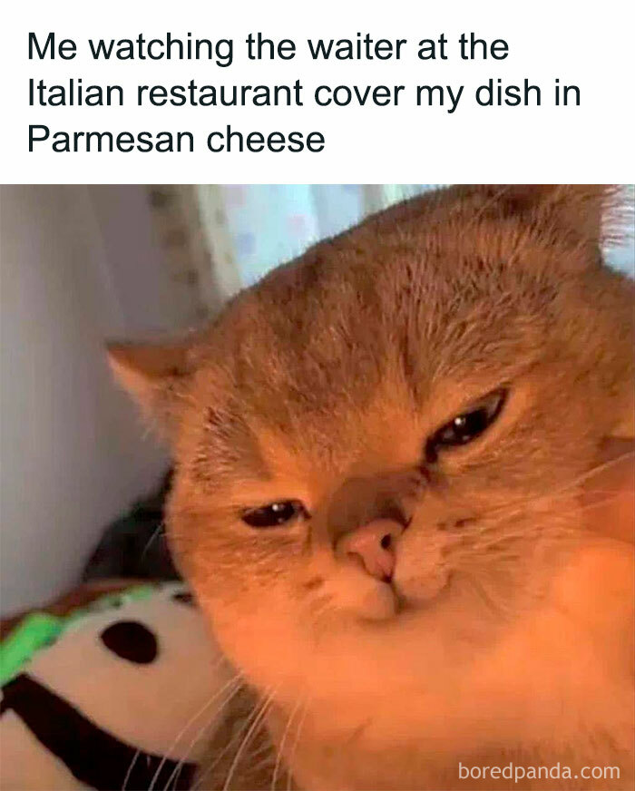 Funny-Wholesome-Pics-And-Memes