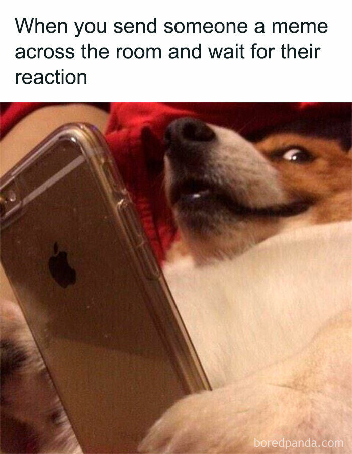 Funny-Wholesome-Pics-And-Memes