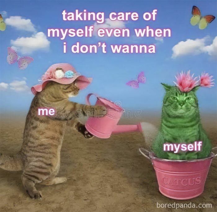 Funny-Wholesome-Pics-And-Memes