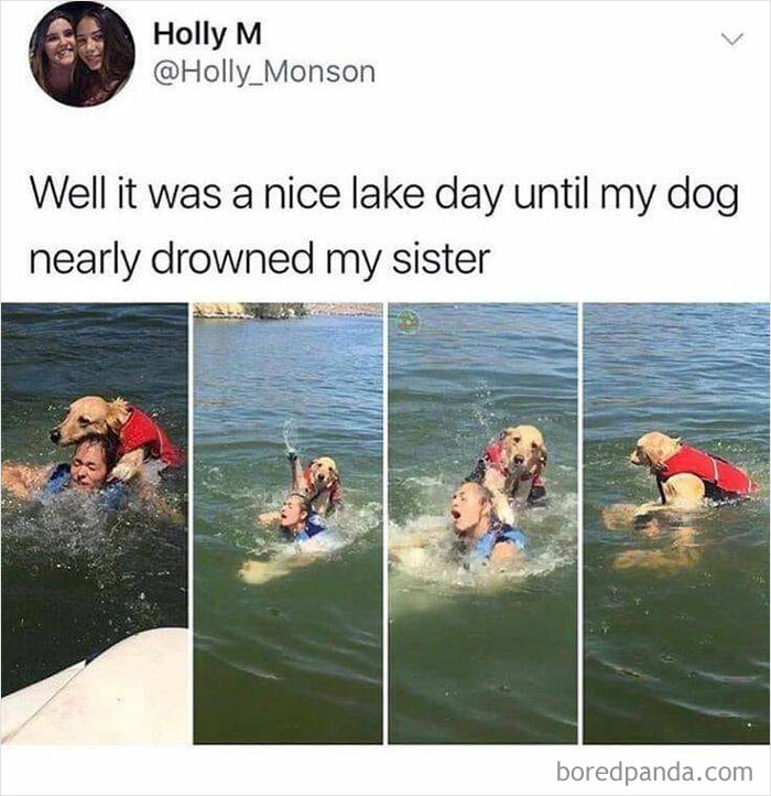 Funny-Wholesome-Pics-And-Memes