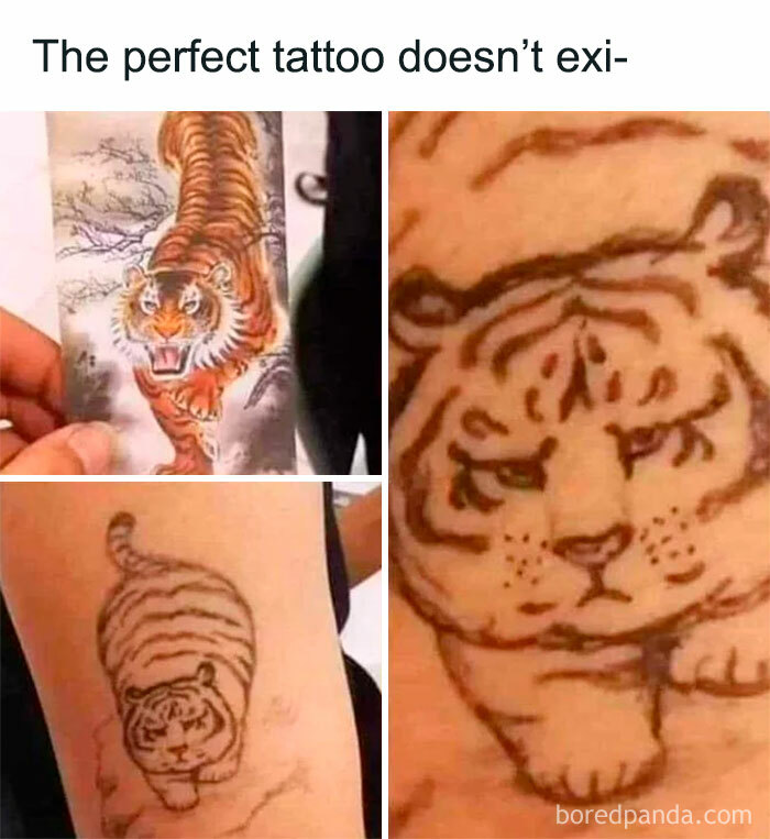 Funny-Wholesome-Pics-And-Memes