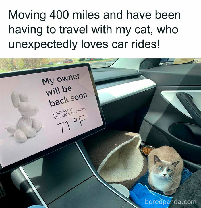 Funny-Wholesome-Pics-And-Memes