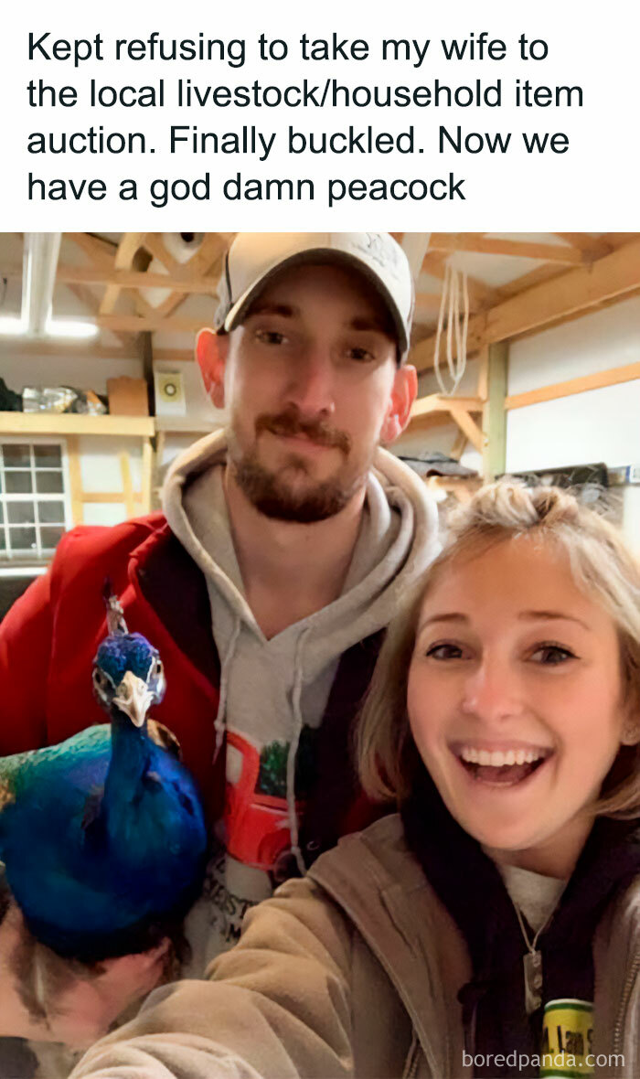 Funny-Wholesome-Pics-And-Memes