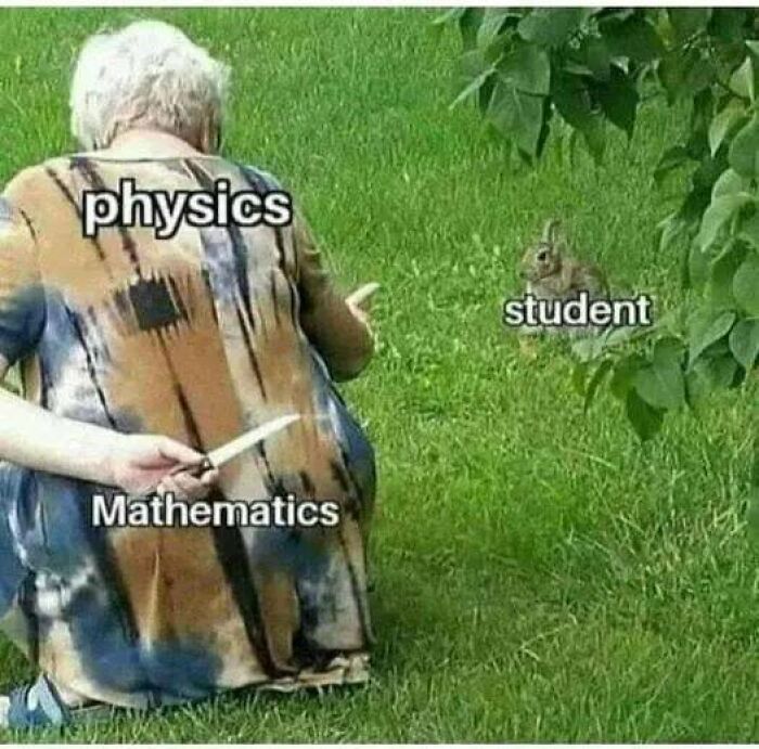 Person with "physics" shirt facing a rabbit labeled "student" while hiding a knife labeled "mathematics." Hilarious math meme.
