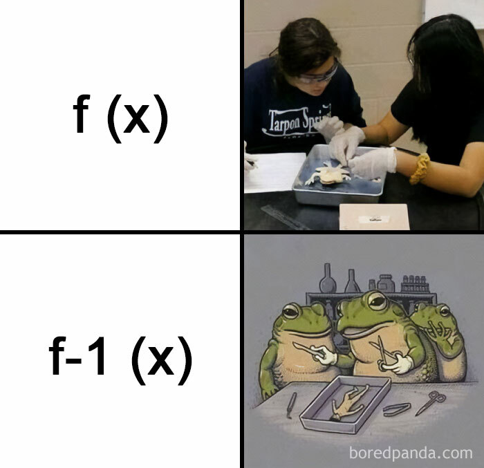 Math meme with students dissecting a frog labeled f(x) and frogs dissecting a human labeled f-1(x).