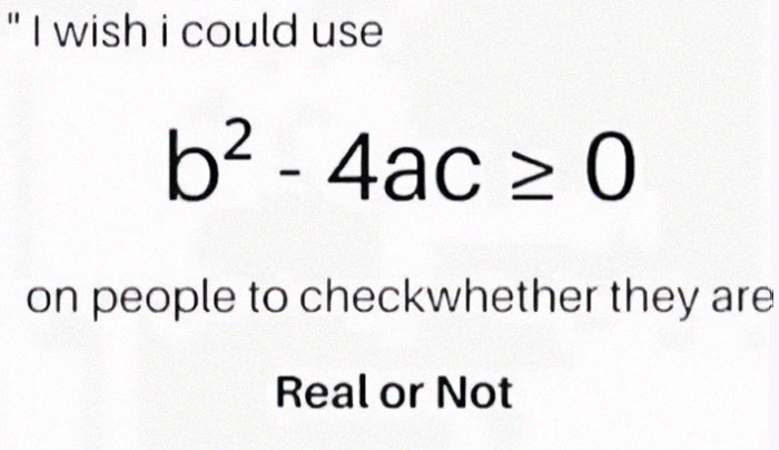 Math meme featuring the quadratic formula with a humorous wish to check if people are real or not.