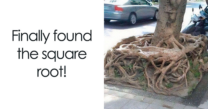 52 Hilarious Math Memes Only People Who Didn’t Fail Math In School Will Understand