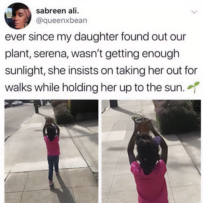 Child holding a plant up to the sun while walking, capturing a funny meme moment for plant enthusiasts.