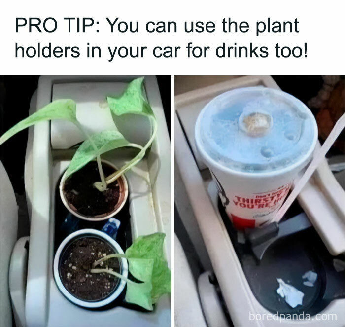 Car cup holders used for plants and drinks in a humorous meme.