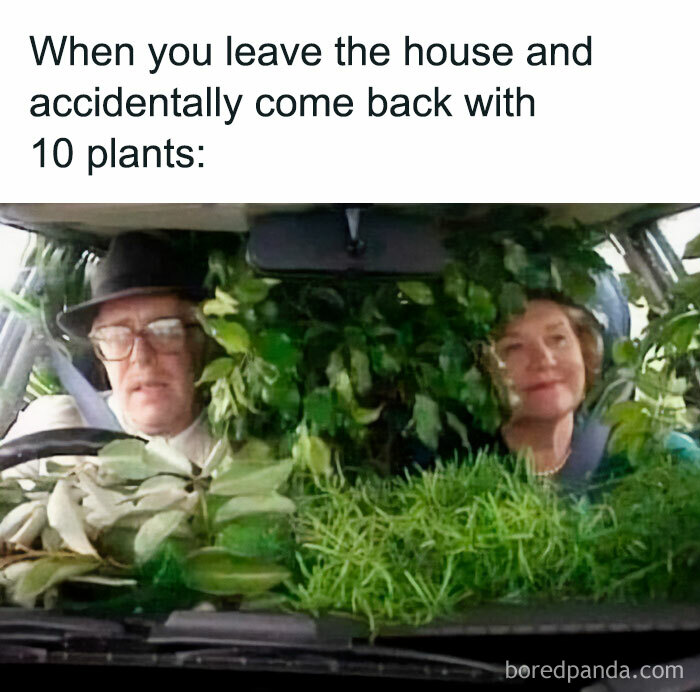 Couple in a car filled with plants, illustrating the humor of impulsive plant buying.
