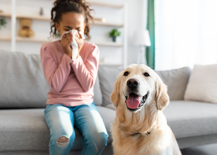 "They Said I Needed To Get Rid Of Bradley": Parents Freak Out After Their Adult Child Gets A Dog, Because Their Younger Son Is Allergic