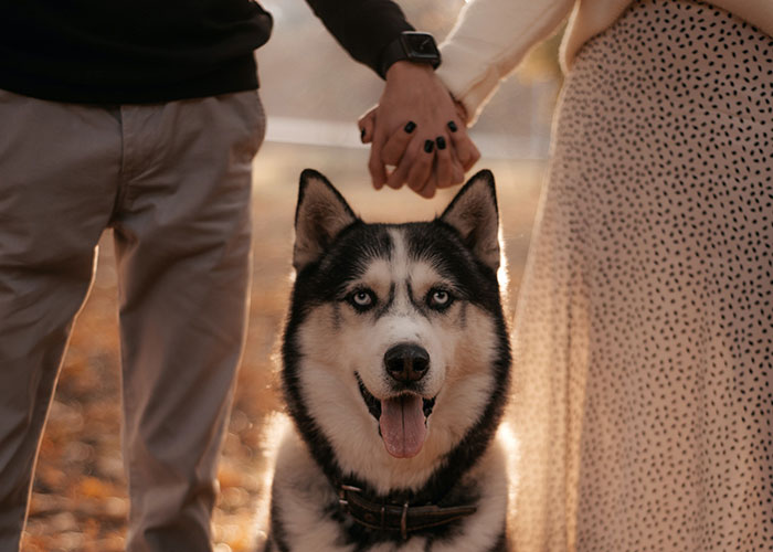 "They Said I Needed To Get Rid Of Bradley": Parents Freak Out After Their Adult Child Gets A Dog, Because Their Younger Son Is Allergic