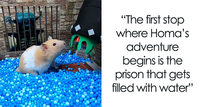 I Created A Maze Inspired By Minecraft And Let My Hamster Homa Explore It