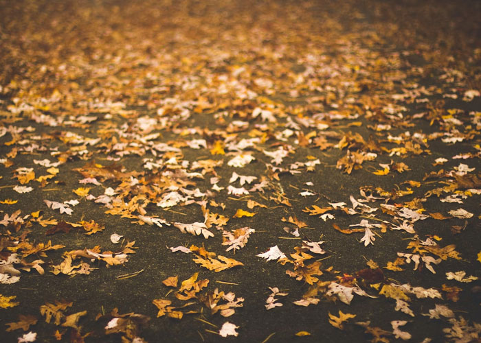 “Study Your Potential Neighbors”: Homeowners Share 40 Things They Wish They Had Known Before Buying Their First Houses