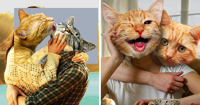 This Artist Creates Peculiar Collages Featuring Cat Photos, And Here Are His 30 Best Works