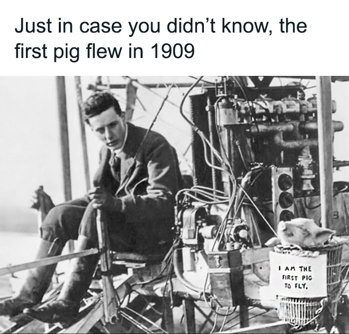 Black and white vintage photo of a man and a pig in early aircraft, a funny history meme about first pig flying in 1909.