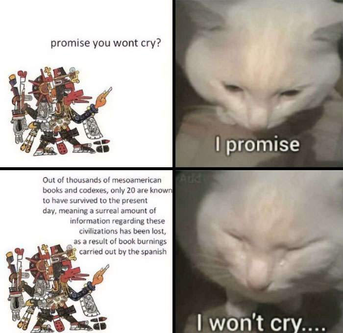 History memes showing Mesoamerican civilization loss and a cat promising not to cry in a touching meme format.