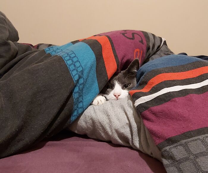 Mi Has Various Charms One Cannot Resist