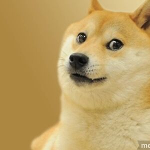 ilovememesfun-com avatar