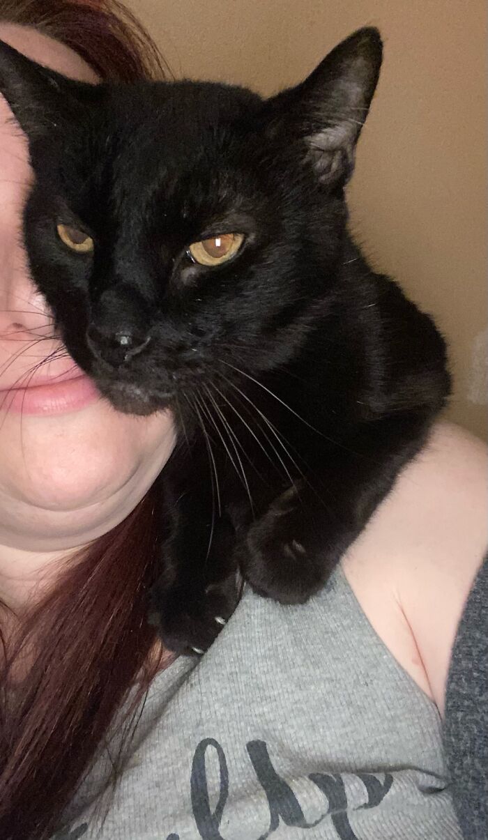 He Picked Me To Be His Human! Jumped In My Arms At The Shelter And That Was That!