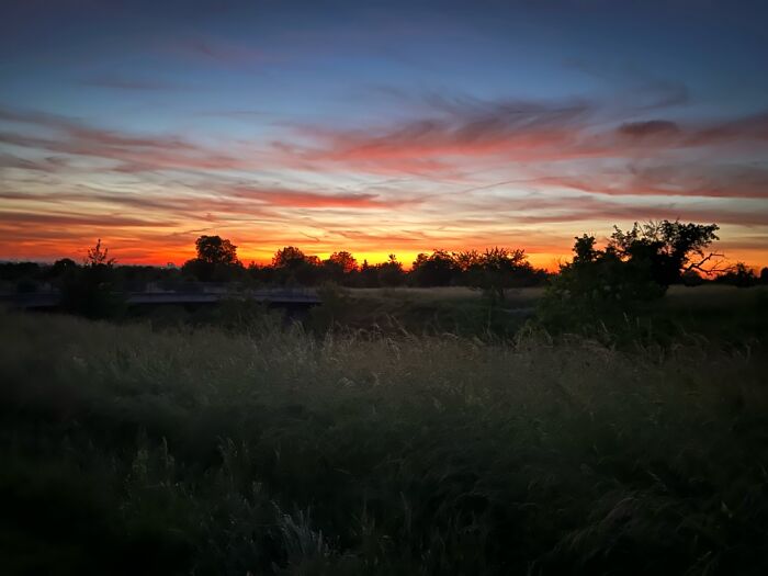 The Beauty Of Nature: 7 Photographs I Took