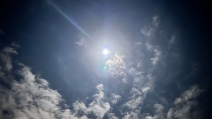 The Beauty Of Nature: 7 Photographs I Took