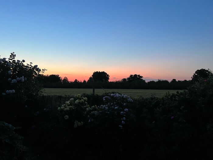 The Beauty Of Nature: 6 Photographs I Took